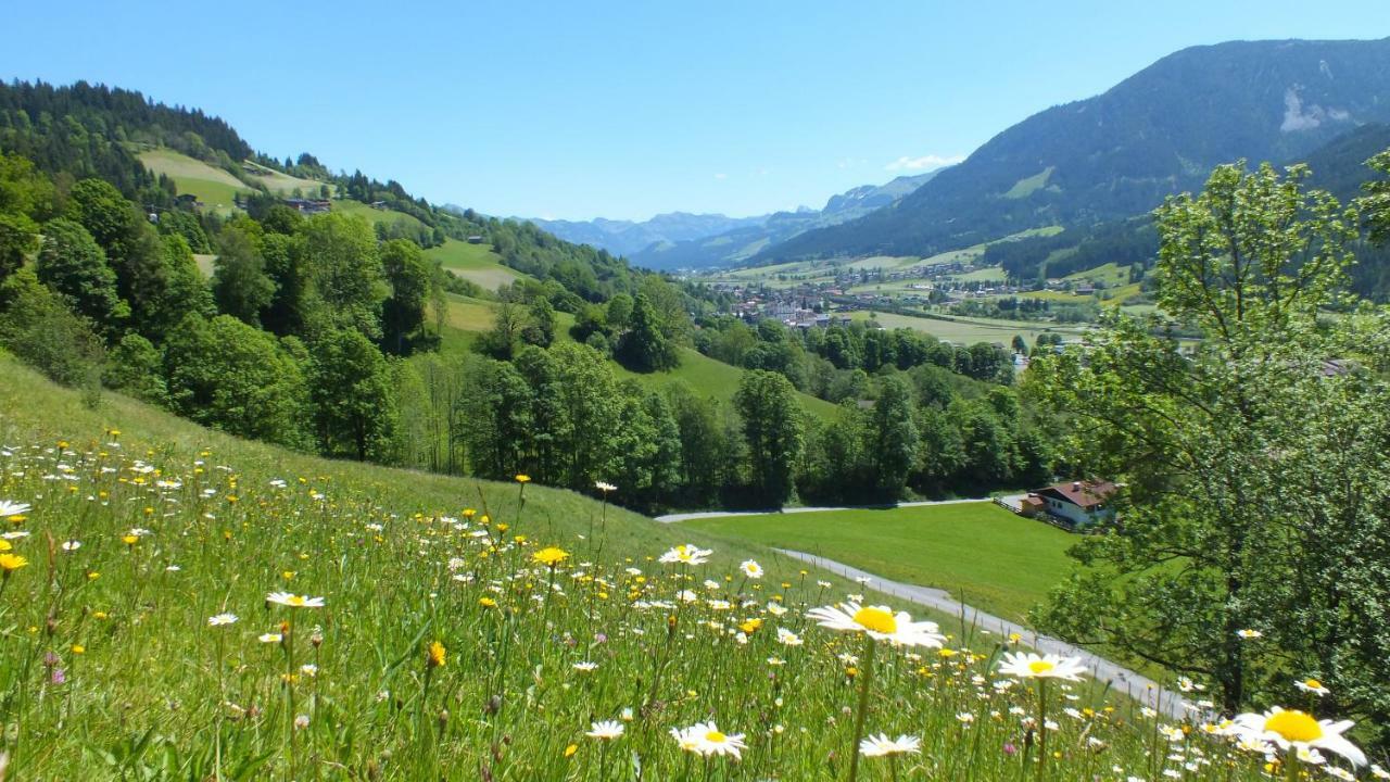 Franbichl Apartment Brixen im Thale Ngoại thất bức ảnh