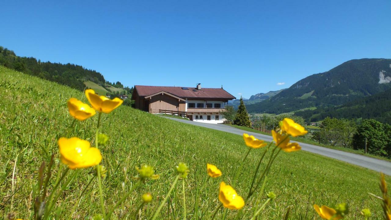 Franbichl Apartment Brixen im Thale Ngoại thất bức ảnh